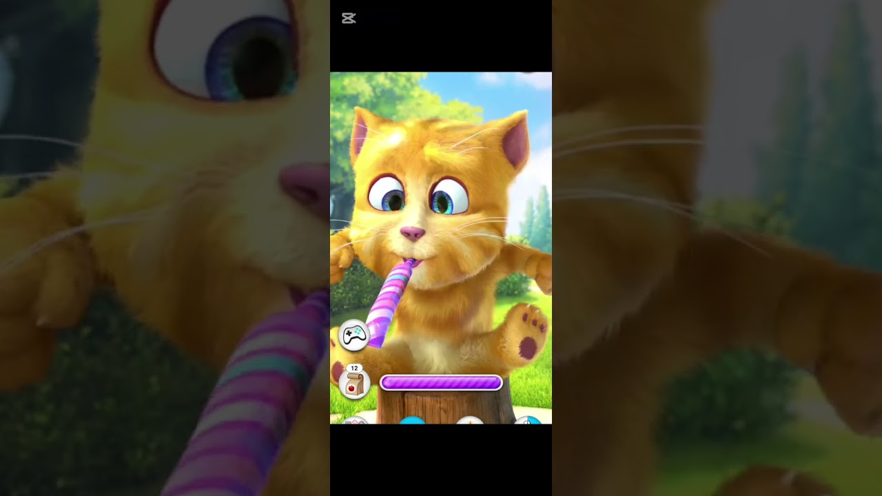 : GINGER'S JOKES MAY CAUSE LAUGHTER! 😂🐱 Talking Ginger's funny moments will brighten your day!