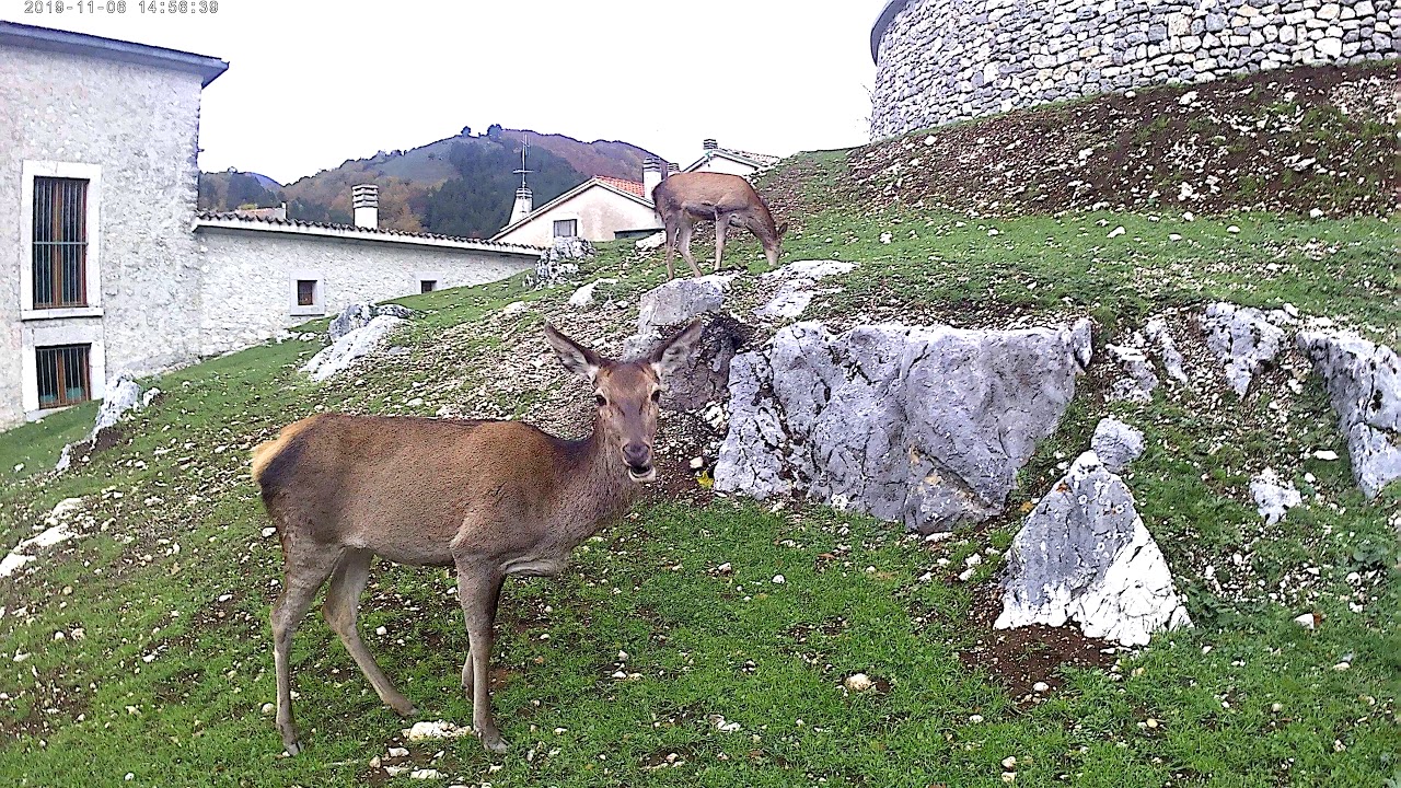 Civitella Alfedena 