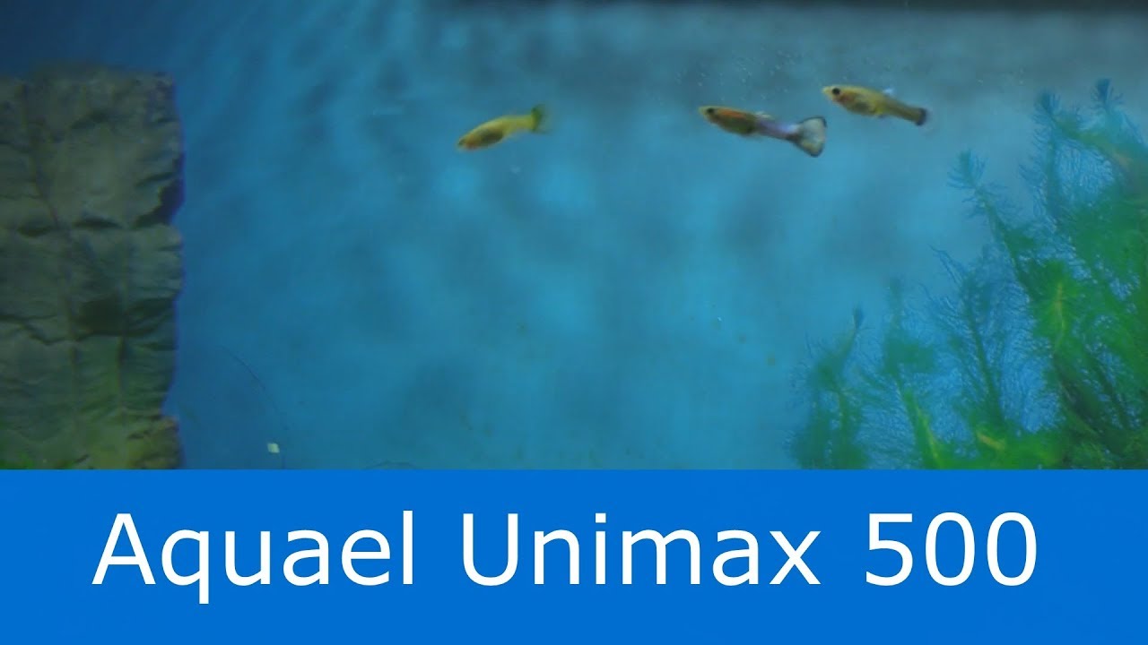 Aquael Unimax 500 w akwarium 200 litr&oacute;w. Czy się sprawdza?