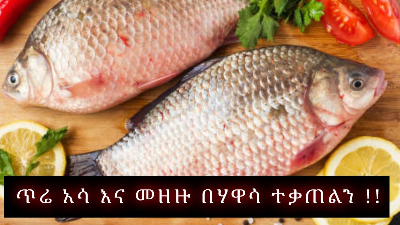 ጥሬ አሳ ለመጀመሪያ ግዜ !!! አሞራ ገደል ሀዋሳ!!!