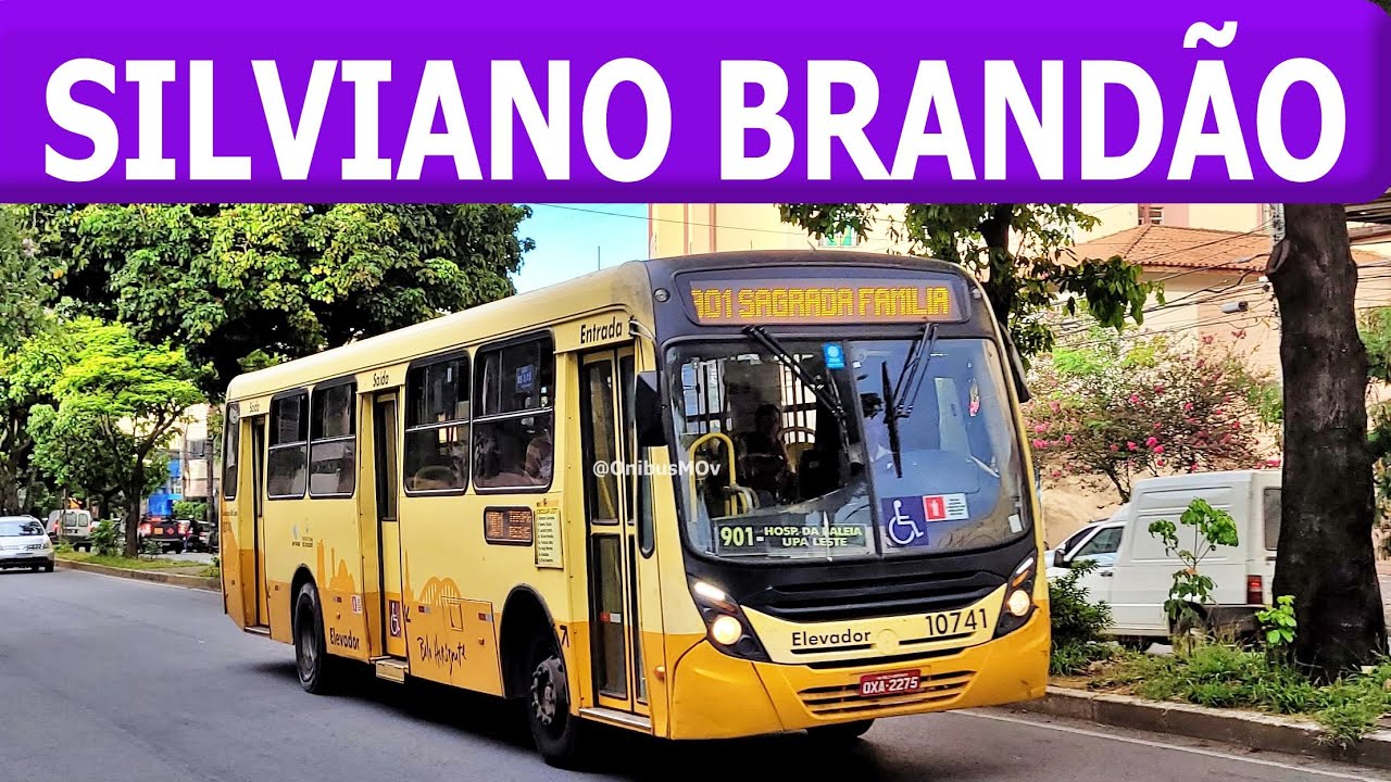 AVENIDA SILVIANO BRANDAO / MOVIMENTAÇÃO DE ÔNIBUS #242