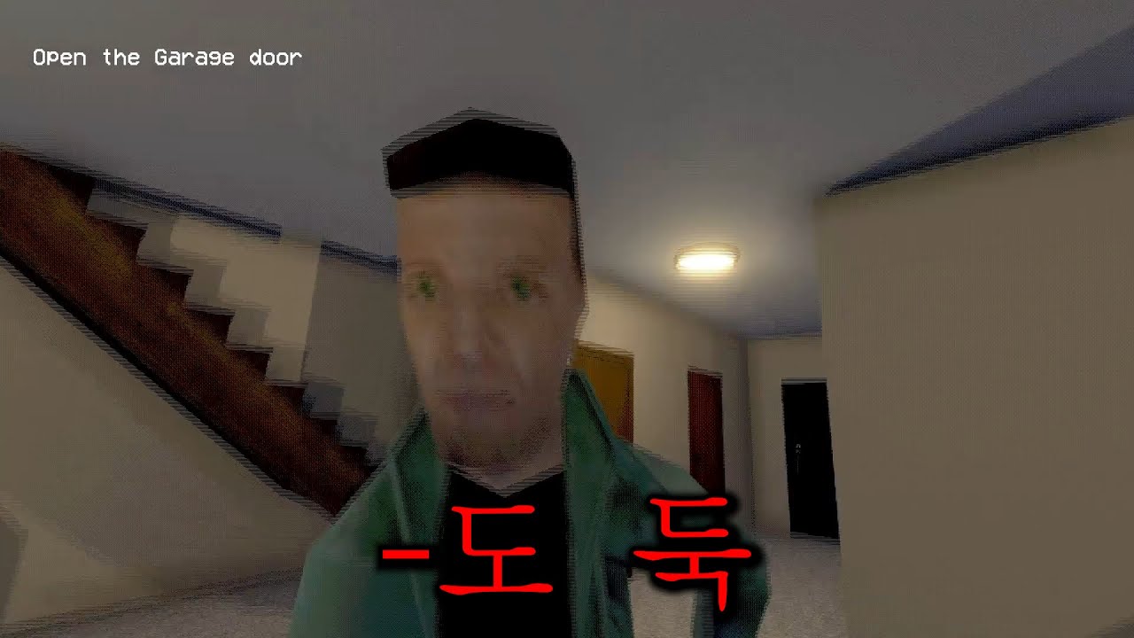 집 안에 도둑이 들었다.