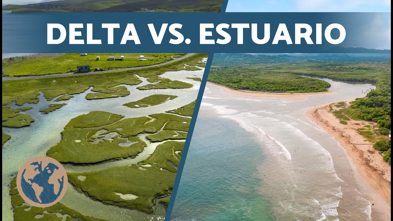 🏞️ &iquest;Cu&aacute;l es la DIFERENCIA entre DELTA y ESTUARIO? 🏞️ &iquest;Qu&eacute; es un Delta y Qu&eacute; es un Estuario?