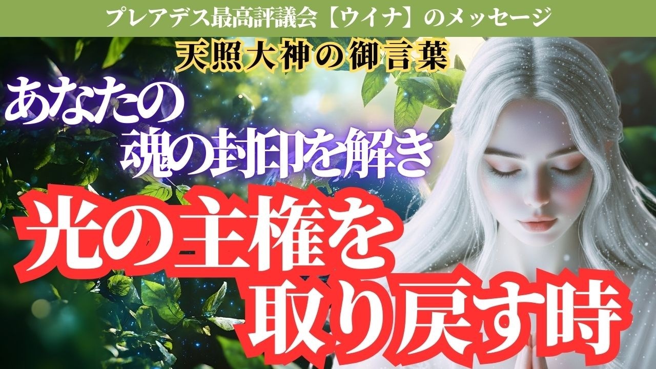あなたが「選ばれた」本当の理由。不調和に反応しないことが最大の勝利。サイクルブレイカーとして光の主権を取り戻す時。【スターシード・アセンション】