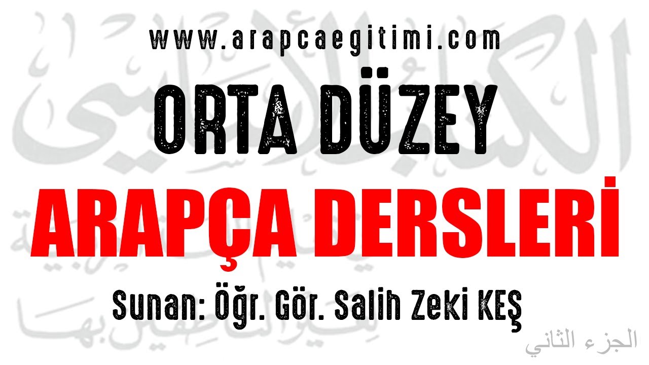 87. Dosya 2. Bölüm, Cins İsim, Teklik İsmi
