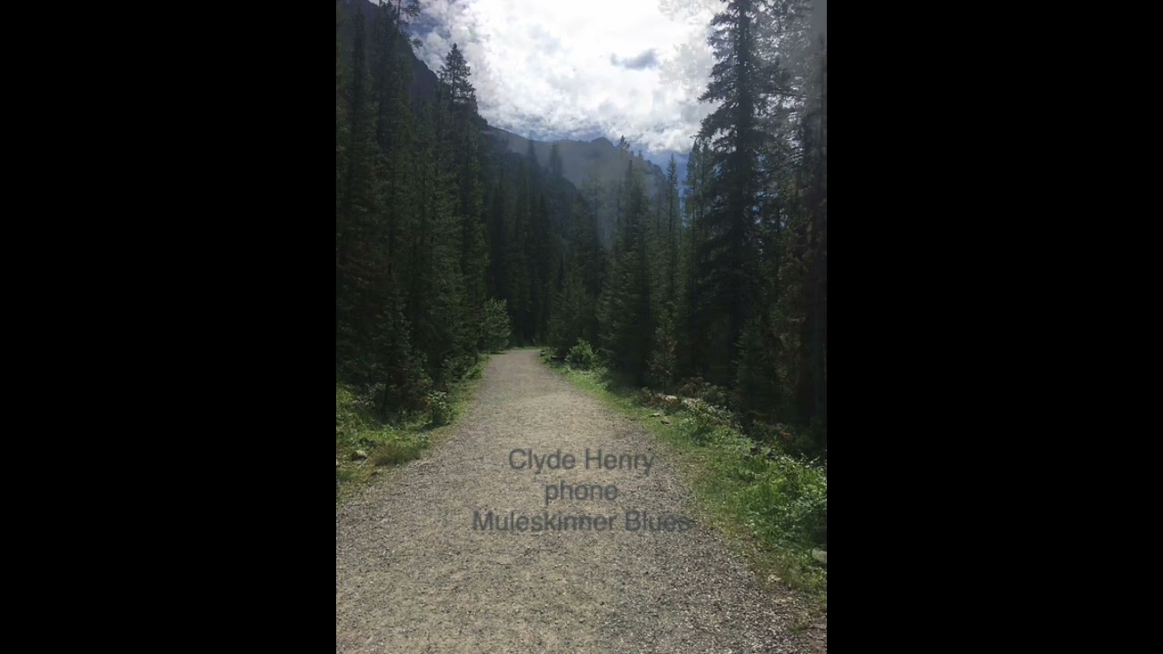 Clyde Henry phone Muleskinner Blues
