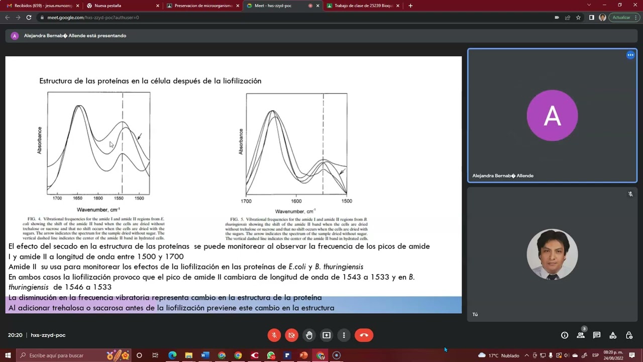 La trehalosa y la sacarosa protegen a la membrana y proteínas de una bacteria intacta....