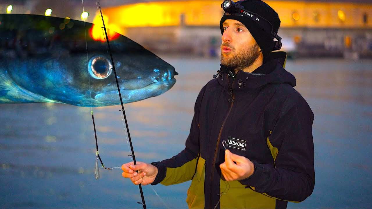 I SIGNORI DELLA NOTTE INVERNALE! Pesca e Ricatture di Gronghi dal Porto: Una Ricerca Sperimentale