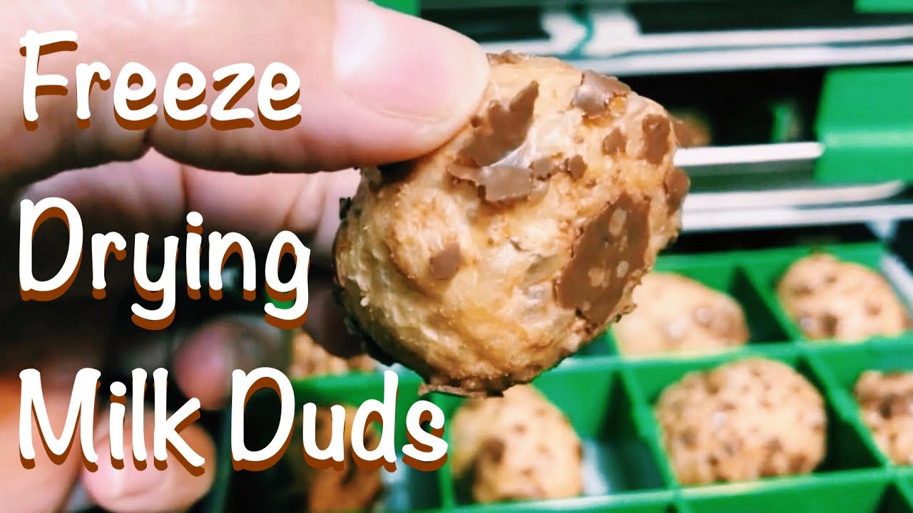 How to Freeze Dry Chocolate Milk Duds and Caramel M&M's 🤯 They're DELICIOUS!!! Come Along With Us!