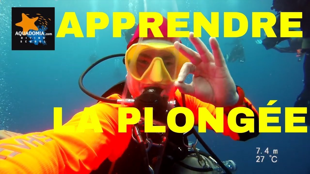 Apprendre la plong&eacute;e sous-marine :  les comp&eacute;tences &agrave; d&eacute;velopper.