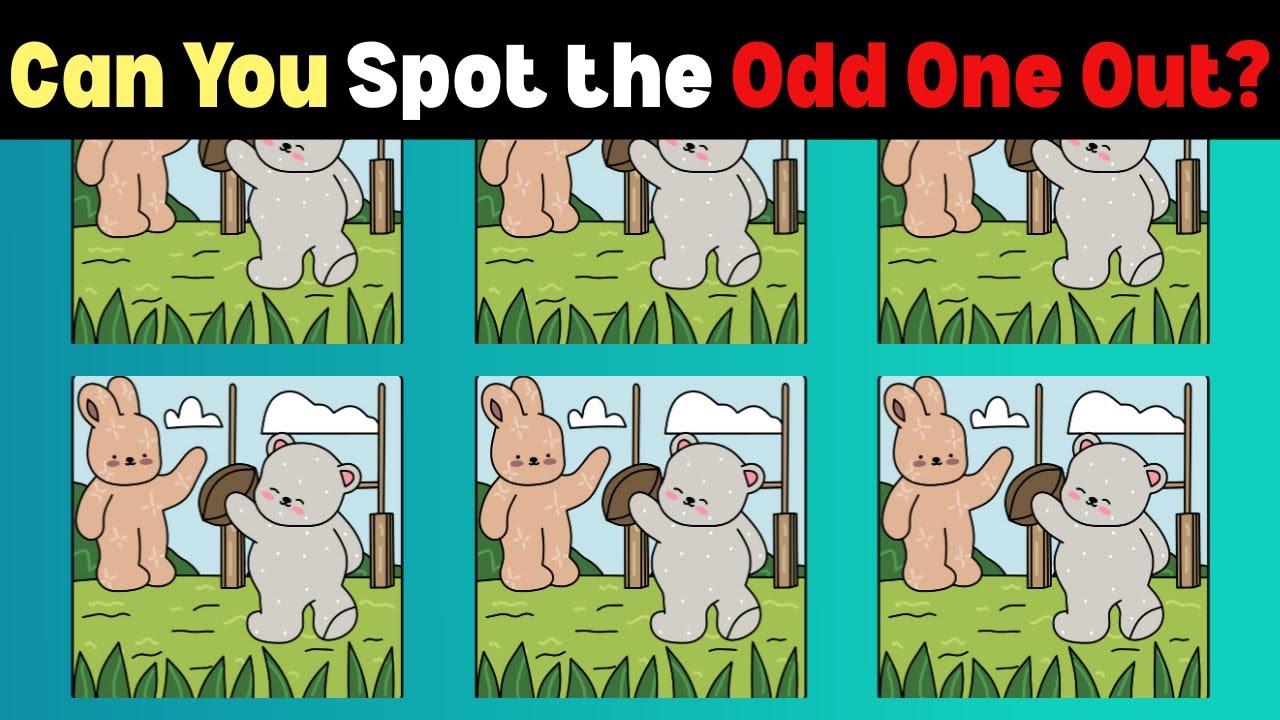 Easy to Medium Odd One Out Adorable Stuffed Animals at Play