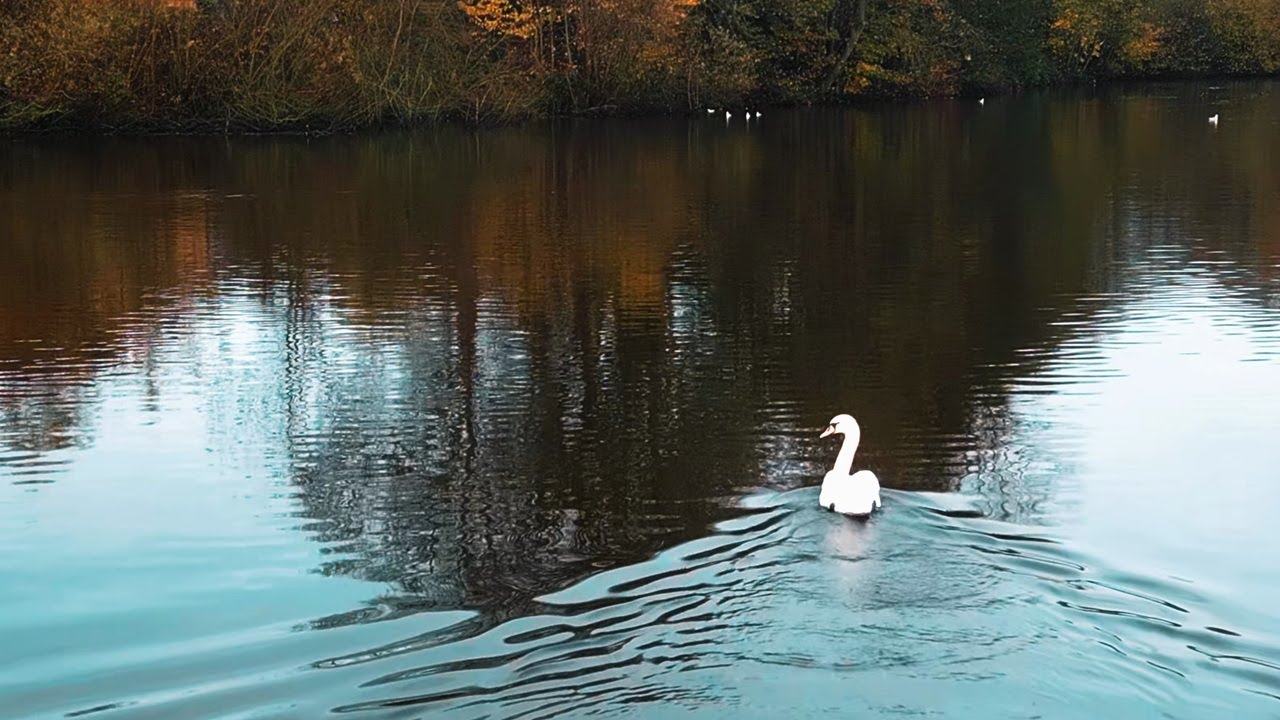 The Winsford Flashes and Rilshaw Meadows - a lovely spot to spend a few hours