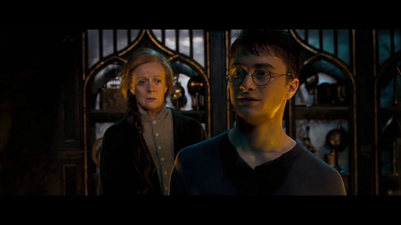 Harry Potter Parodie. Harry FOU ?