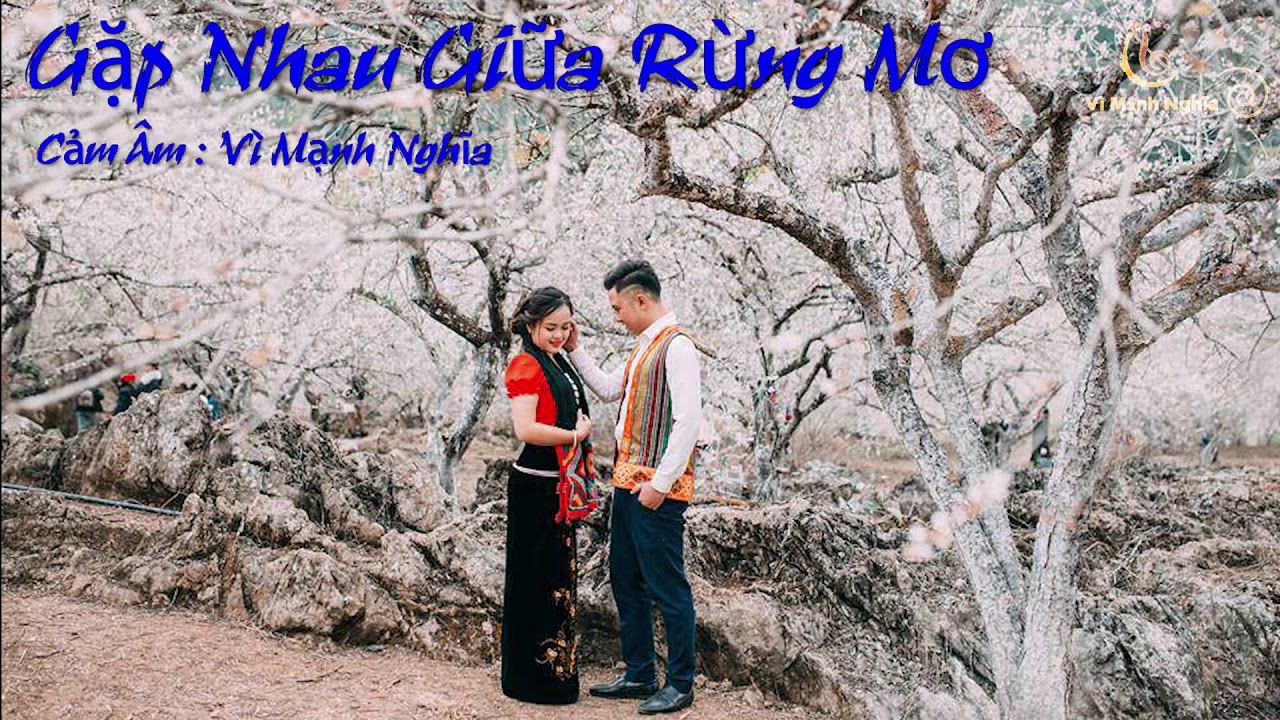 Cảm âm Gặp Nhau Giữa Rừng Mơ c5