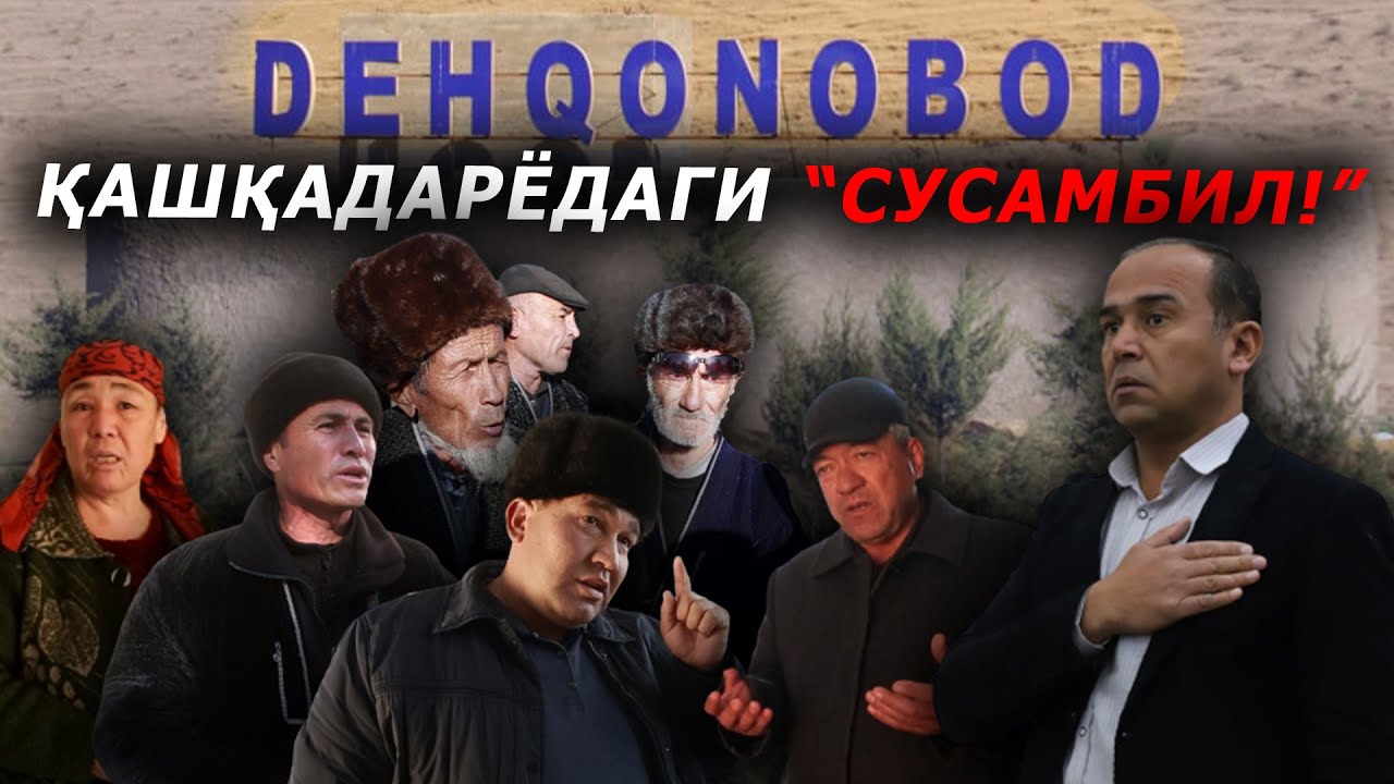 ДЕҲҚОНОБОД – ОБОД ГЎШАМИ... ЁКИ ҲАМОН ЎША–ЎШАМИ!? – EFFECT.UZ