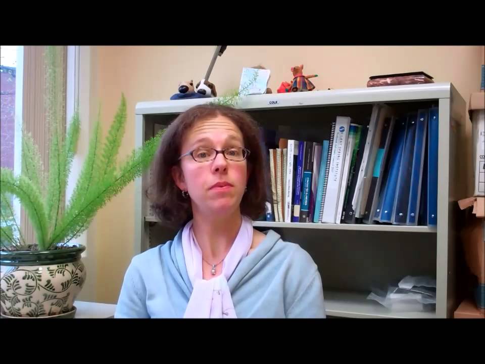 Silent Spring Institute's Dr. Laurel Schaider Answers Your Questions - 1