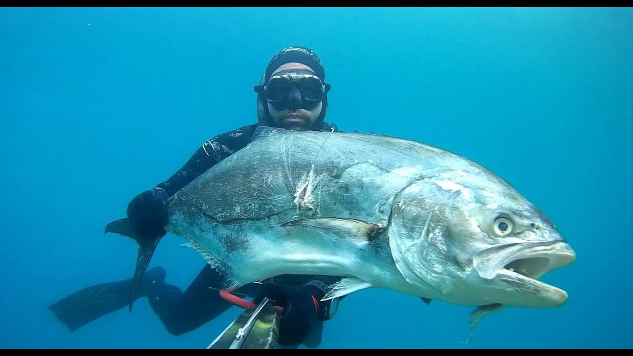 Spearfishing Croatia - 