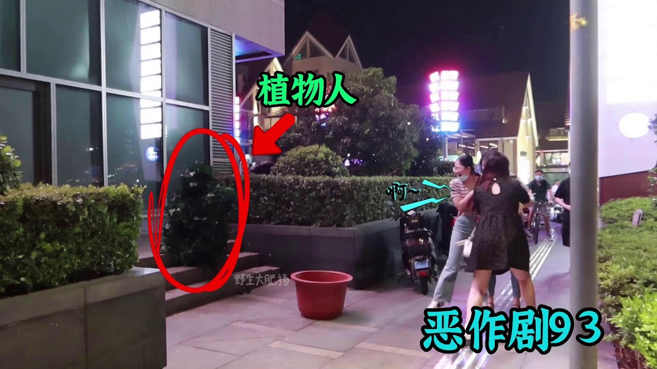 【恶作剧93】树叶伪装服的恶作剧.Funny jungle man prank in china.