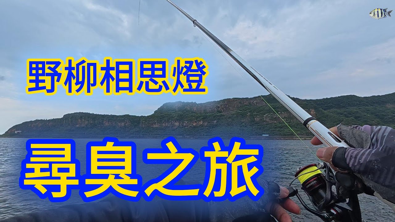 (釣魚)2025  野柳 相思燈 尋臭之旅  新北市  北海岸 磯釣 萬里  野柳 磯釣 釣魚 海釣   #fishing