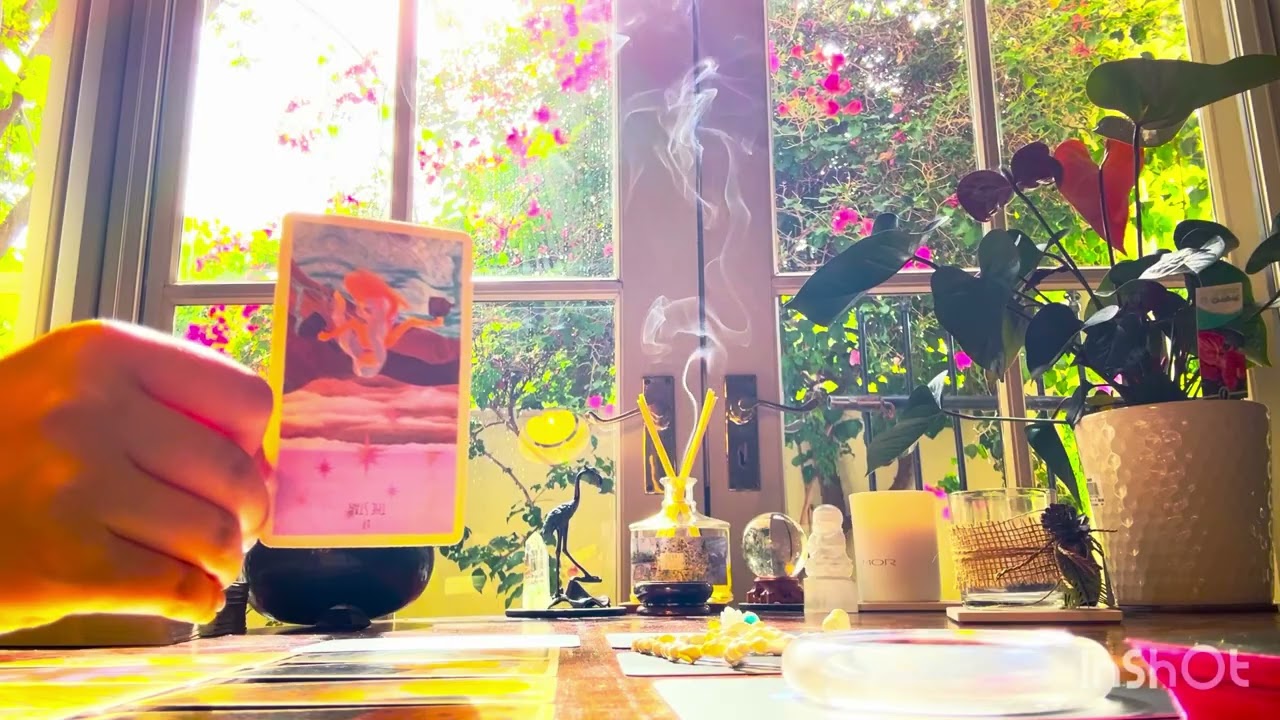 🦄🌺你有哪些的超级魅力+🍒别人最欣赏你的人格特质「塔罗占卜」挖掘你内在的闪光点💖💖