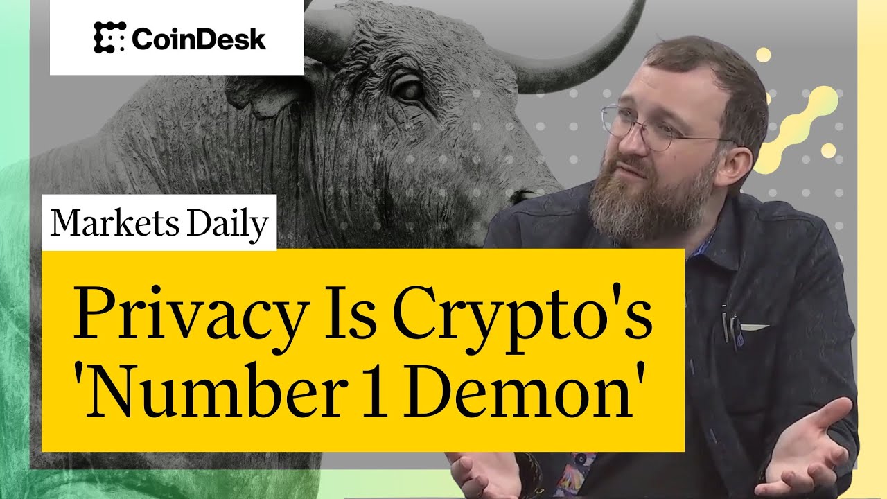 Privacy Is Crypto's 'Number 1 Demon': Charles Hoskinson