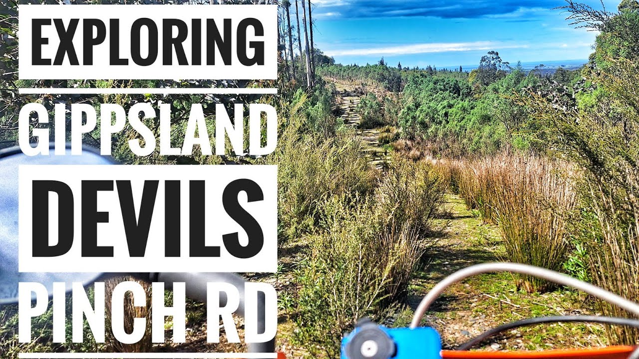 Приключения KTM 525exc — Devils Pinch Rd #ktm #offroad #motovlog
