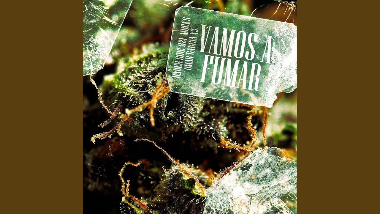 VAMOS A FUMAR