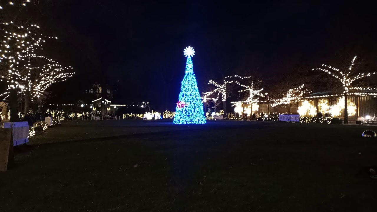 Bronx Zoo 2020 Holiday Lights