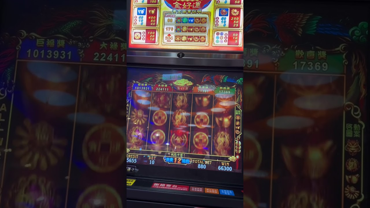 #湯姆熊 #15輪 #金好運 #金好運運運 #小心老人都是殺手