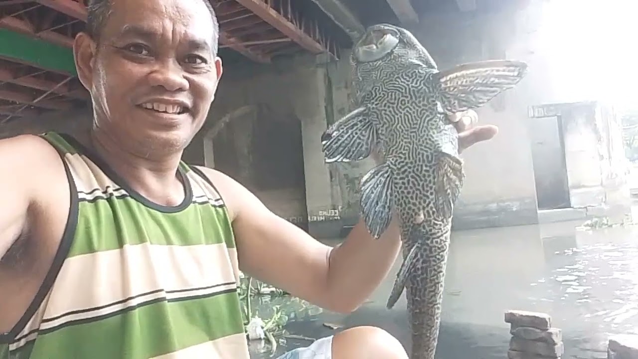 malaking isda ang nahuli ko sa pamingwet