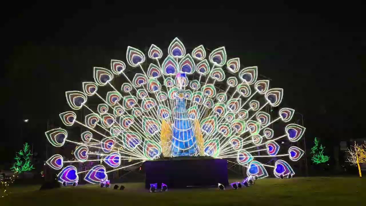 МАЙСУР ДАСАРА ОСВЕЩЕНИЕ | #майсоредасара | 2025 год