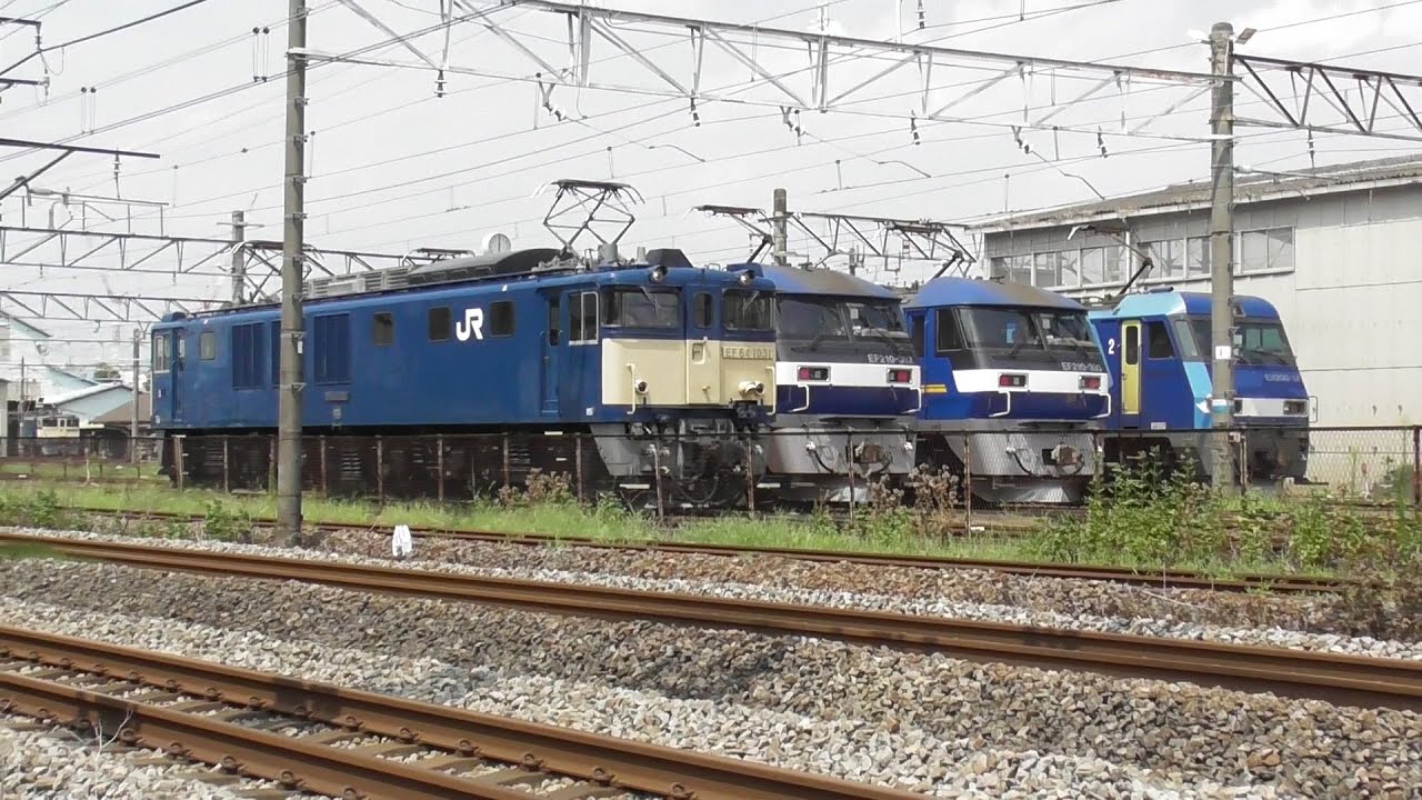 2025年8月26日　珍しい光景!!　JR貨物の電気機関車と並んでJR東日本の電気機関車EF64 1031(新潟)が通電中!!　JR貨物 高崎機関区