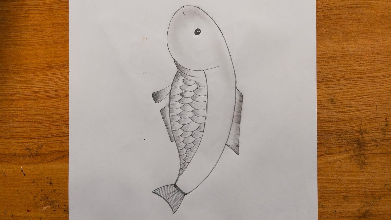 How to draw fish drawing 