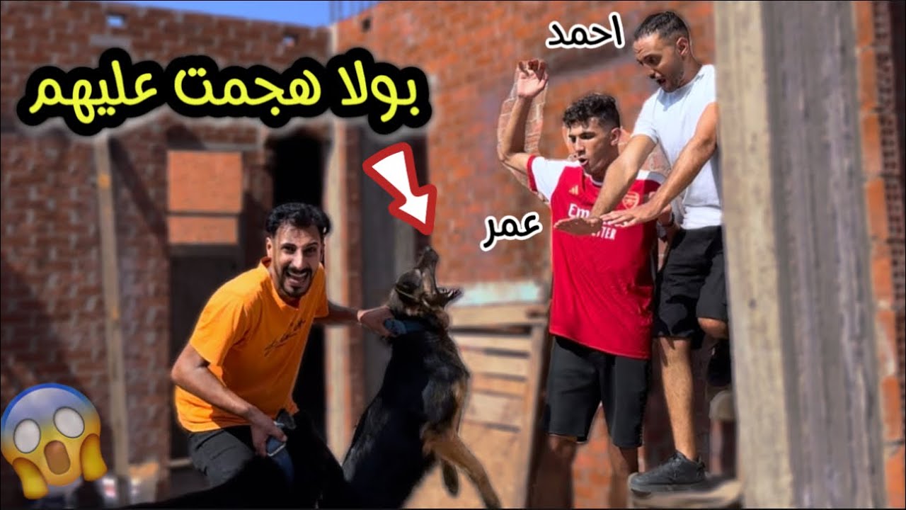 سيبت كلابي علي عمر احمد و احمد السيد | كانوا هيعضوهم 😱