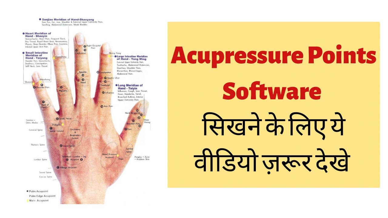Learn Acupressure Points with this Software - Jagmohan Sachdeva