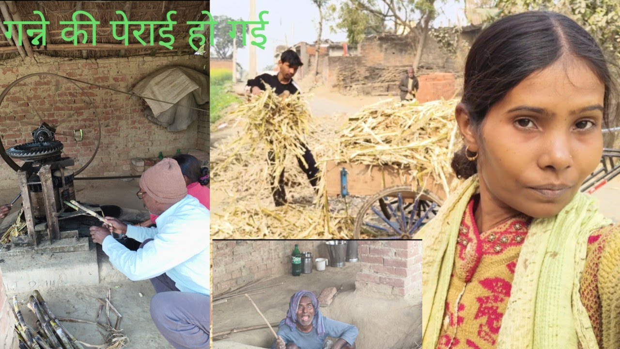 हमारे गांव में गन्ना कैसे पेरा जाता हैं। गन्ने का vlog ।। Kusum nand vlog 