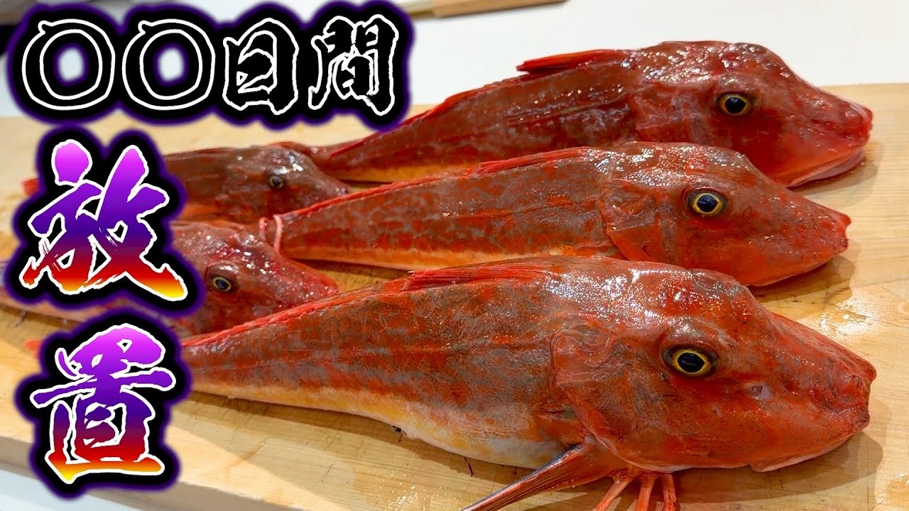 【ジギング】3月のオススメ魚！熟成のやり方完璧に伝授致します。