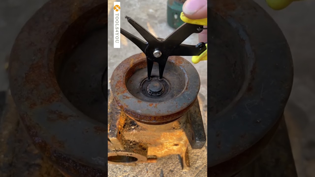 Dual-purpose circlip pliers