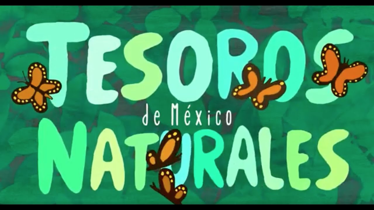 Tesoros naturales de México