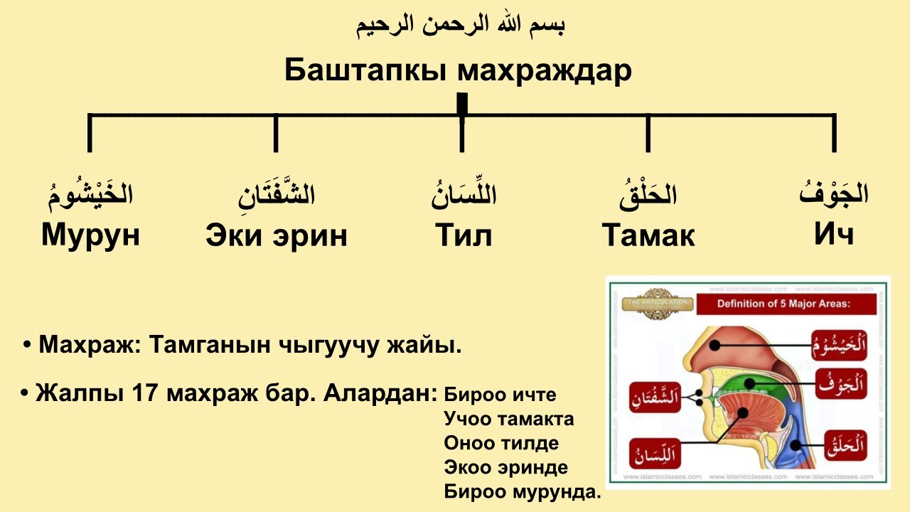 Тамгалардын махраждары