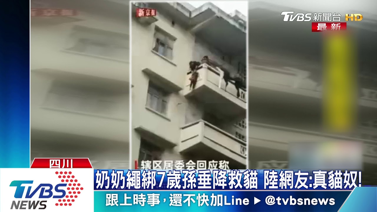 奶奶繩綁7歲孫垂降救貓　陸網友：真貓奴！