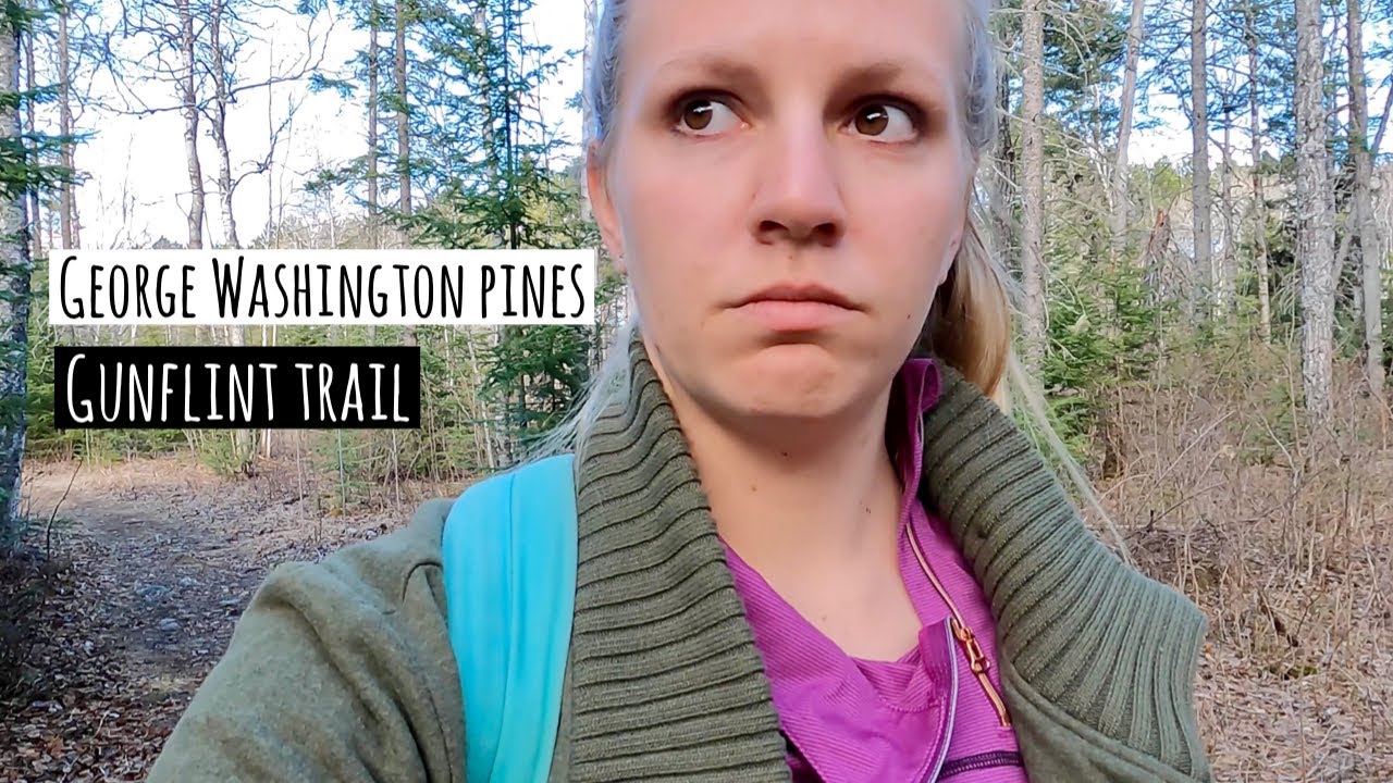 George Washington Pines Hike | #Gunflint Trail Grand Marais