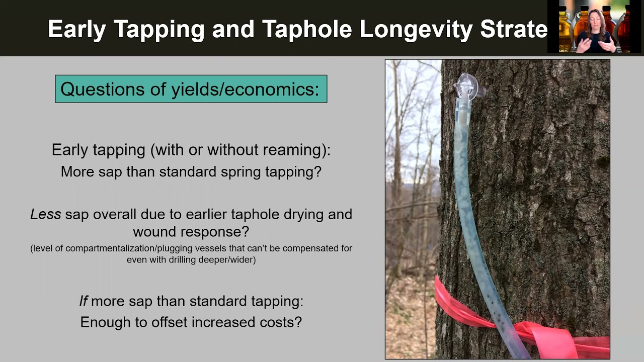 Early Tapping and Taphole Rejuvenation   CDL 2021 Open House