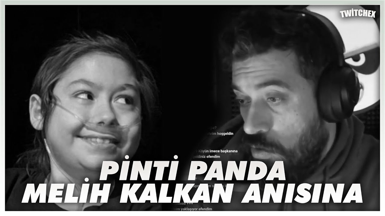 Pinti Panda - Melih Kalkan Anısına