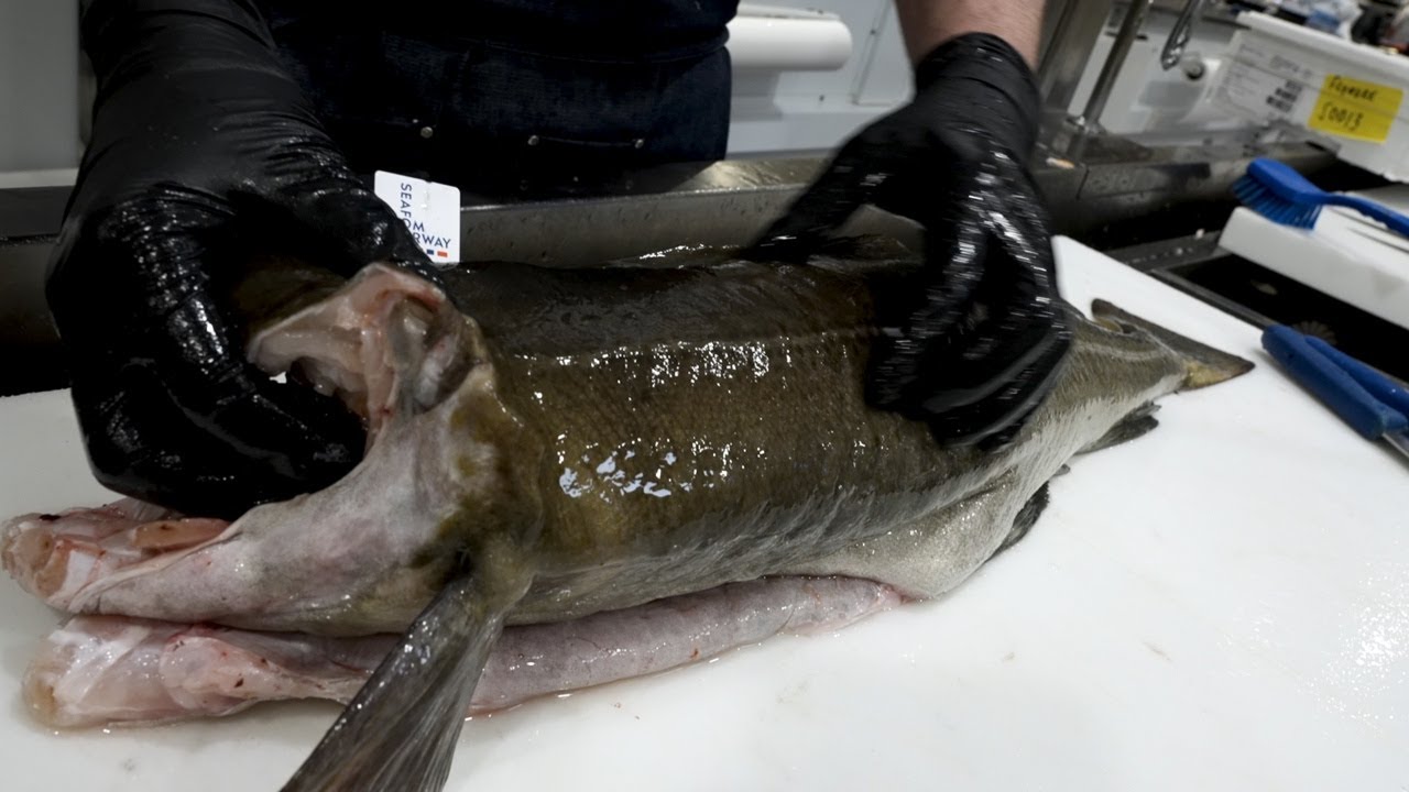 Filetering av torskefisk