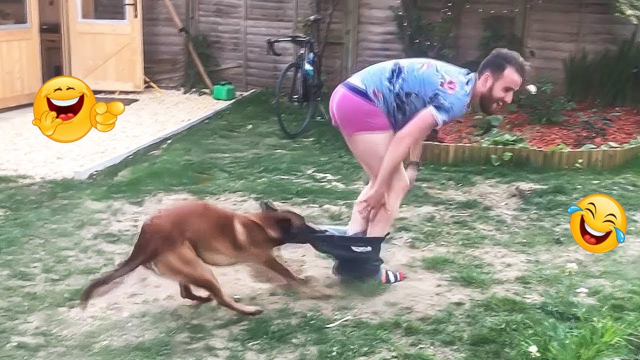 Try NOT to Laugh… 101% IMPOSSIBLE! 😂 Funny Dogs Ever 2025 #4