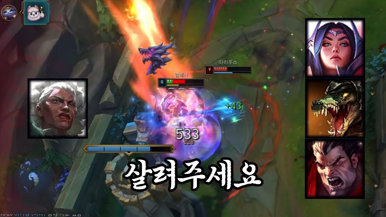 빡센 애들 오마카세..