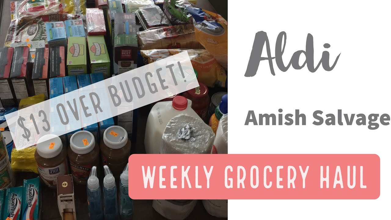 Weekly Grocery Haul || Amish Salvage Store || Aldi Haul