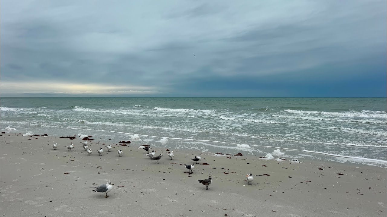 Robb’s Saturday Morning Beach Walk on Vanderbilt Beach in North Naples, Florida | January 31, 2026