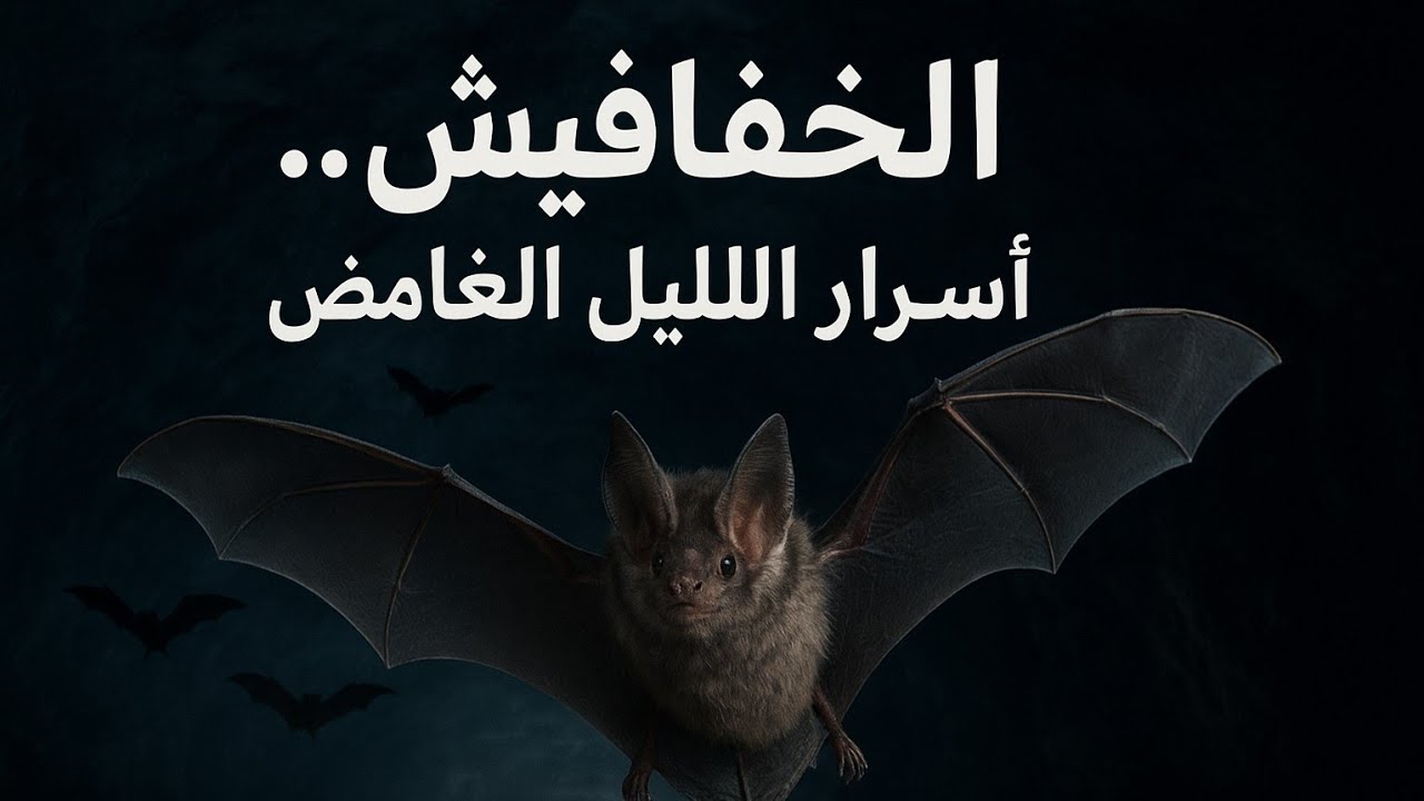 ماذا يختبئ في الظلام؟ أسرار مدهشة عن الخفافيش لن تصدّقها!